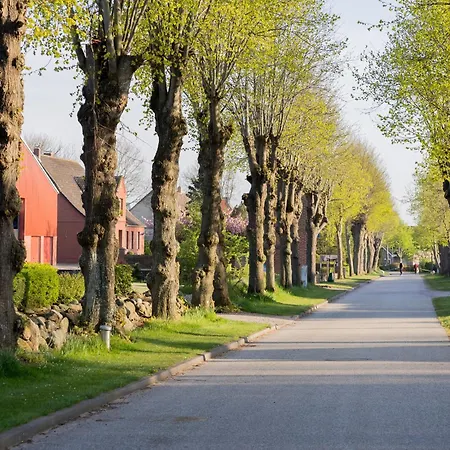 Fachwerkhaus - Sueden Oben - Bauernhof Hopp Vadersdorf * Fehmarn