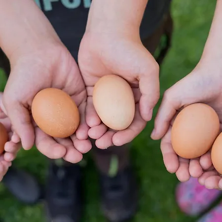 Fachwerkhaus - Sueden Oben - Bauernhof Hopp Vadersdorf * フェーマルン
