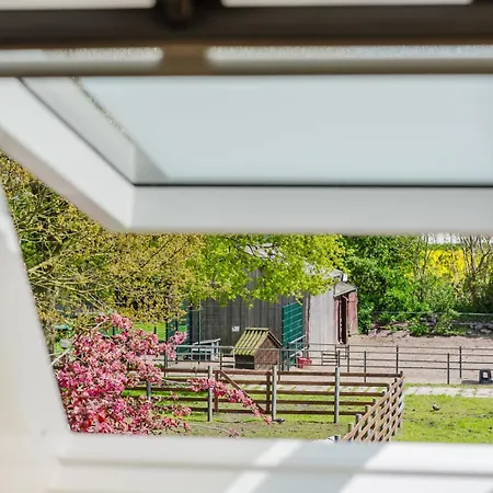 アパート Fachwerkhaus - Sueden Oben - Bauernhof Hopp Vadersdorf フェーマルン