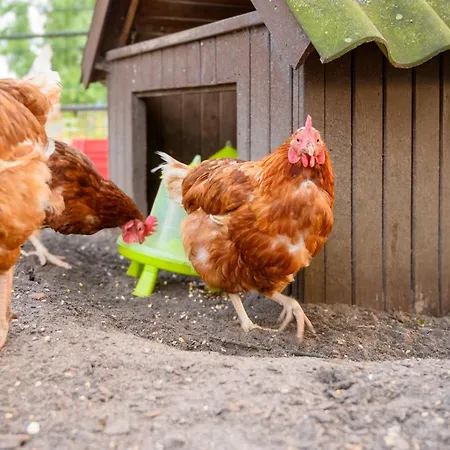アパート Fachwerkhaus - Sueden Oben - Bauernhof Hopp Vadersdorf *